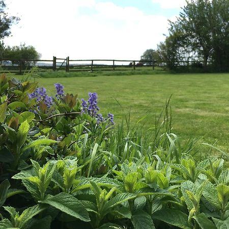 Bed and Breakfast Cotswolds Mine Hill House Lower Brailes Zewnętrze zdjęcie