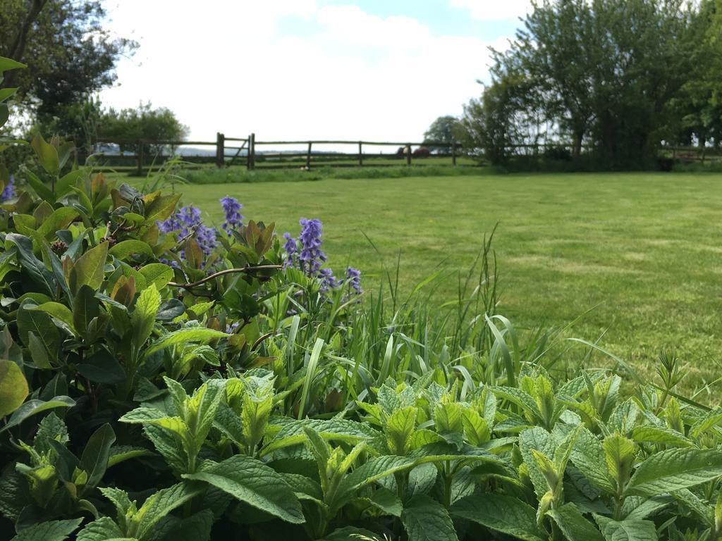 Bed and Breakfast Cotswolds Mine Hill House Lower Brailes Zewnętrze zdjęcie